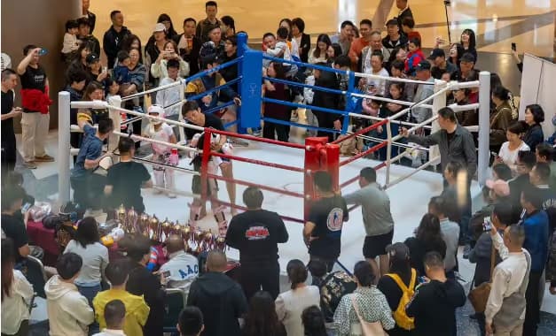 Muay Thai Competition Review