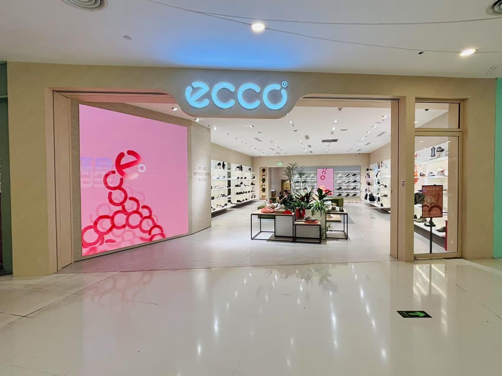 ECCO - Image 2