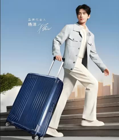 Samsonite - Image 2